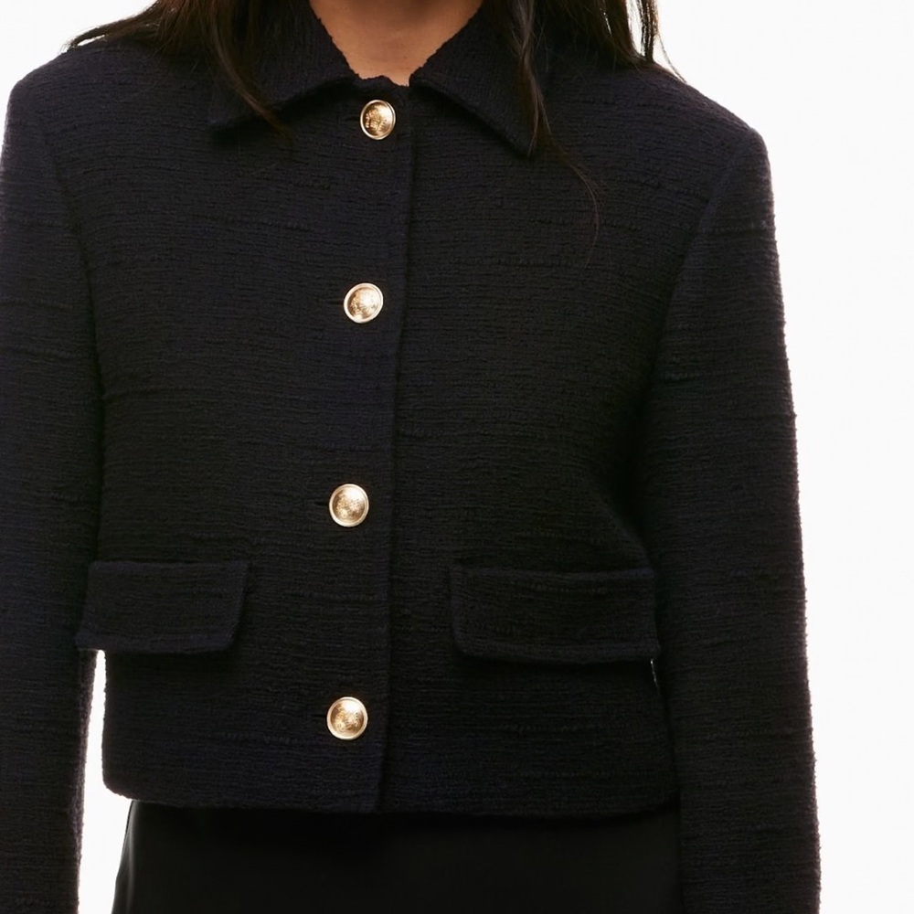 NWT Babaton Frances Jacket